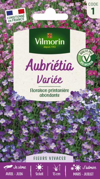 Fleurs - Aubriète Variée - PACKAGING_RECTO